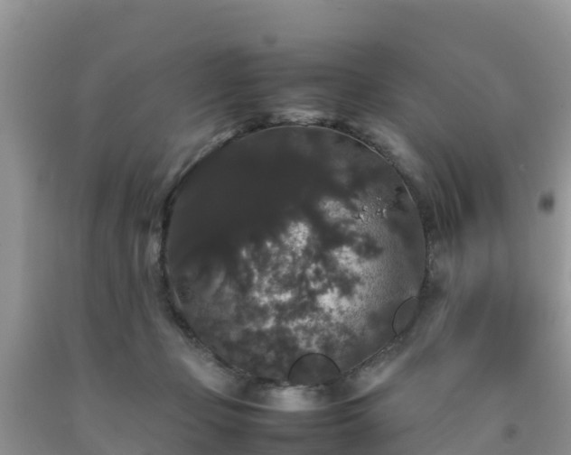 X0000092060365200709191147