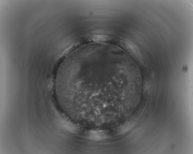 X0000092060367200709191147