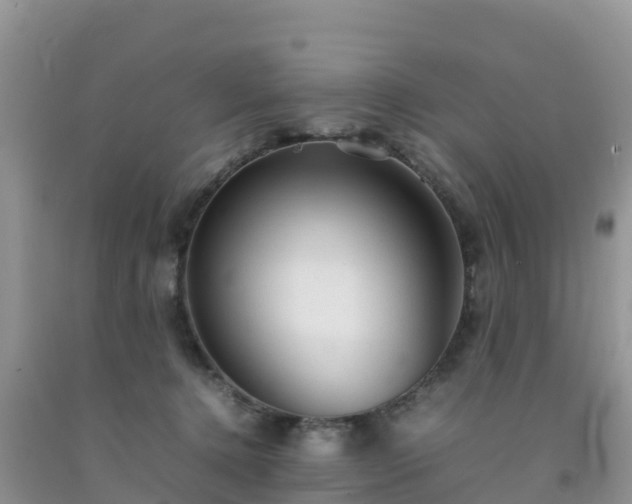 X0000092060368200709191147