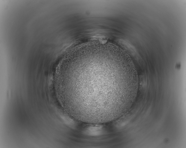 X0000092060369200709191147