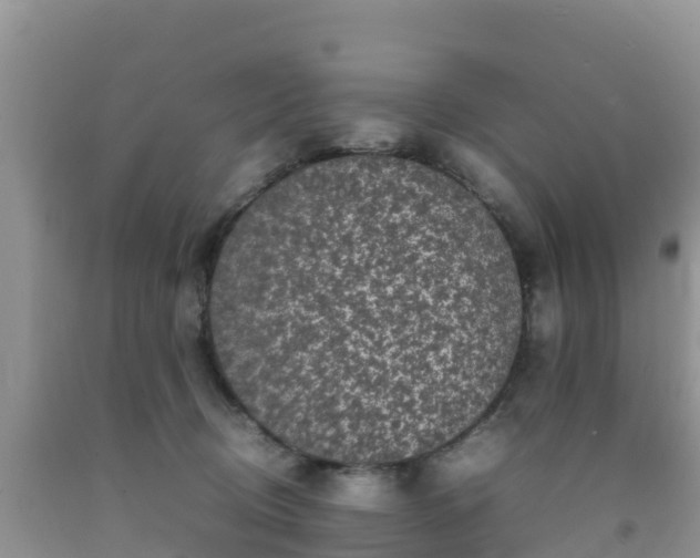 X0000092060370200709191147