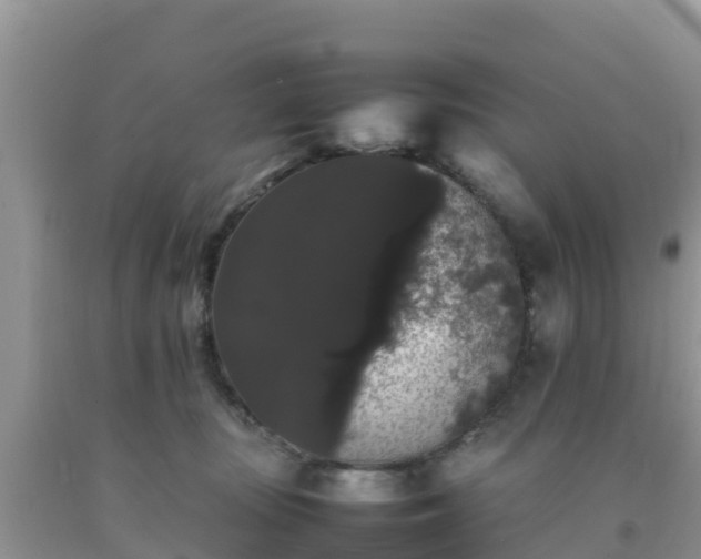 X0000092060371200709191147