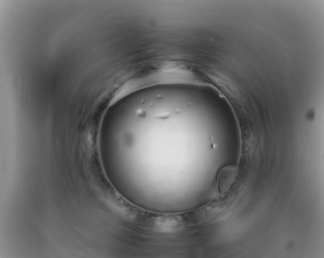 X0000092060373200709191147