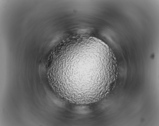 X0000092060375200709191147