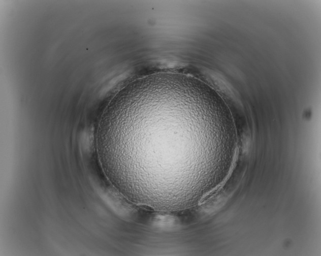 X0000092060376200709191147