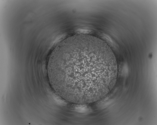 X0000092060377200709191147