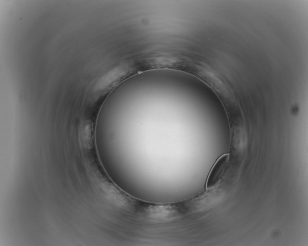 X0000092060378200709191147