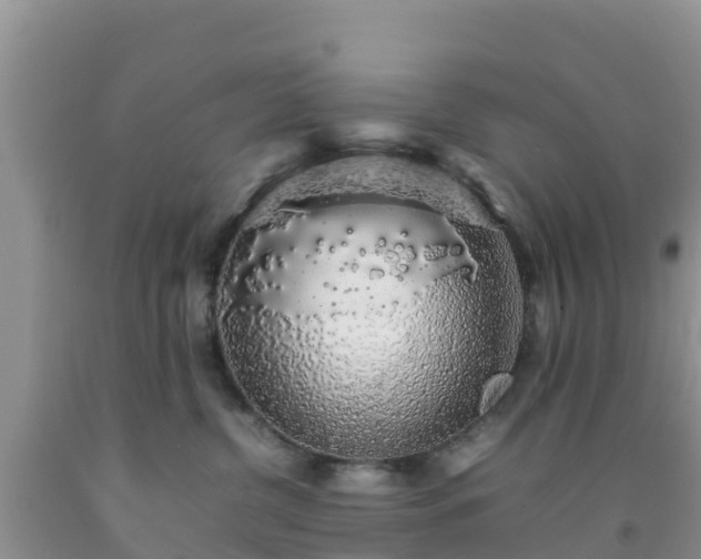 X0000092060380200709191147