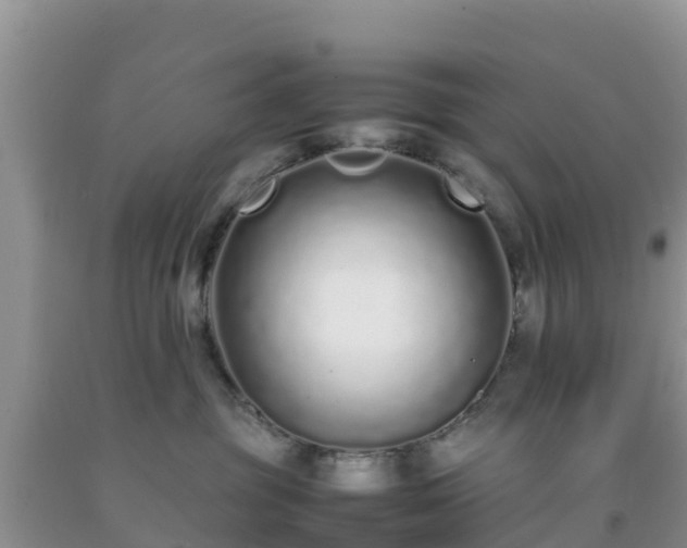 X0000092060381200709191147