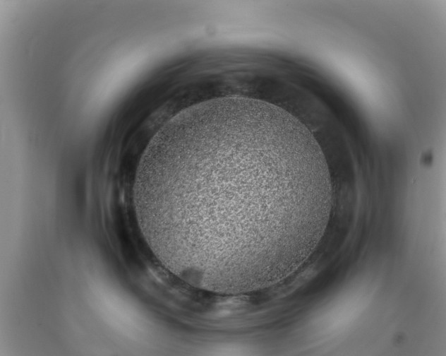 X0000092060382200709191147