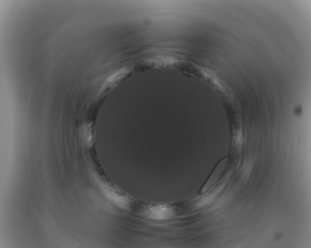 X0000092060383200709191147