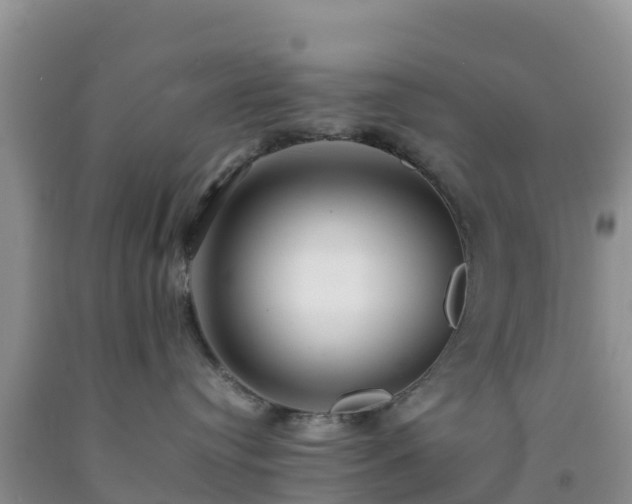 X0000092060384200709191147