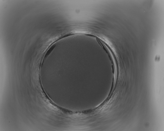 X0000092060385200709191146