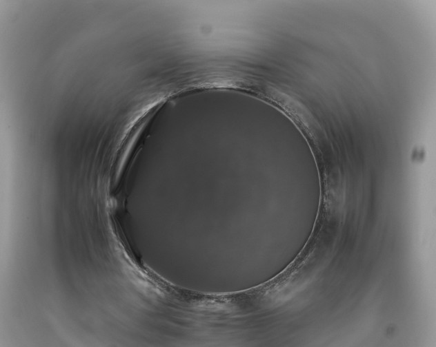 X0000092060386200709191146