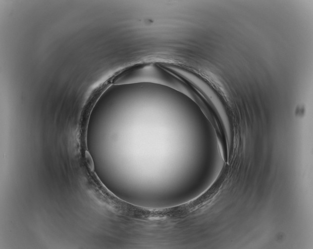 X0000092060388200709191146