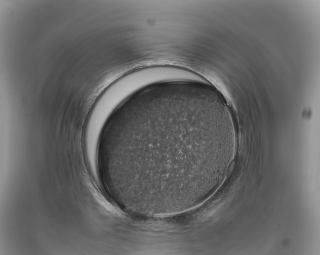 X0000092060389200709191146