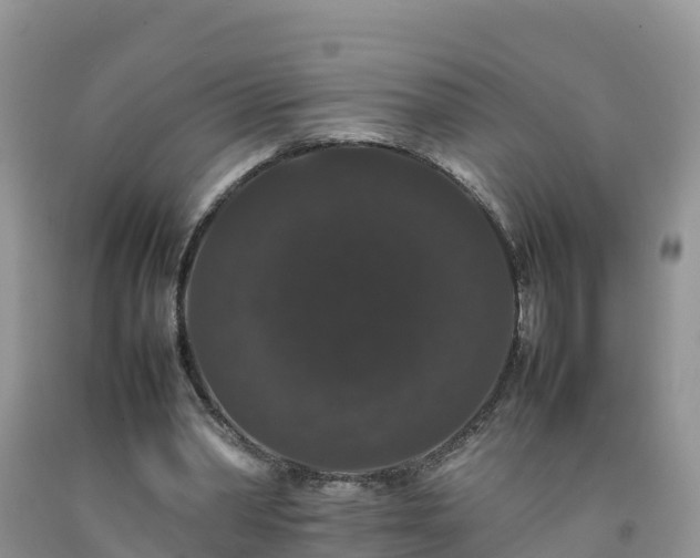 X0000092060390200709191146