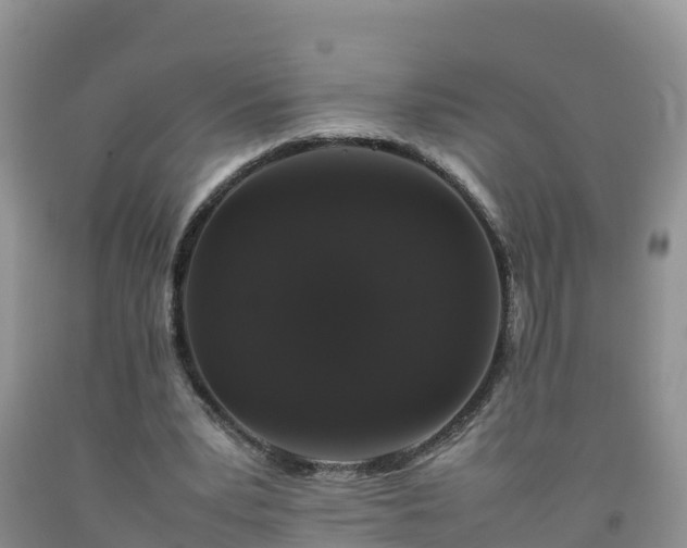 X0000092060391200709191146