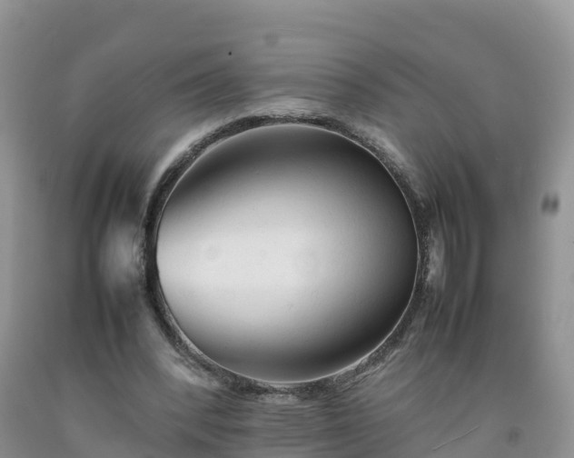 X0000092060392200709191146