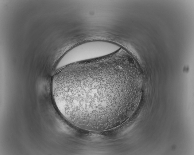 X0000092060393200709191146