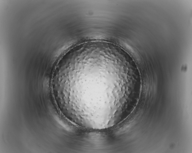 X0000092060394200709191146