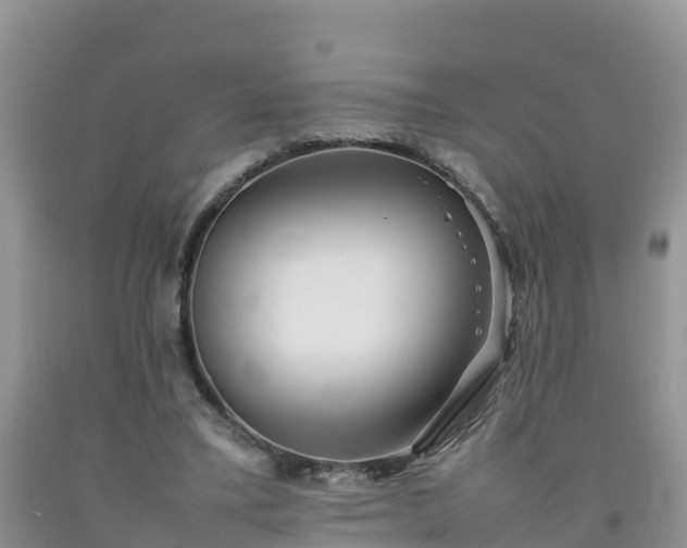 X0000092060395200709191146