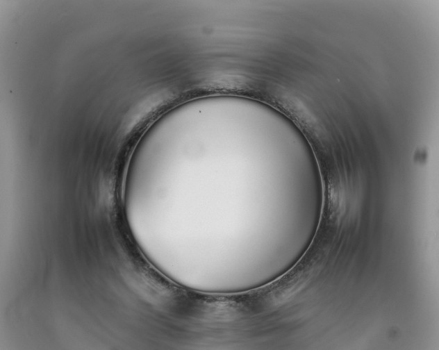 X0000092060396200709191146