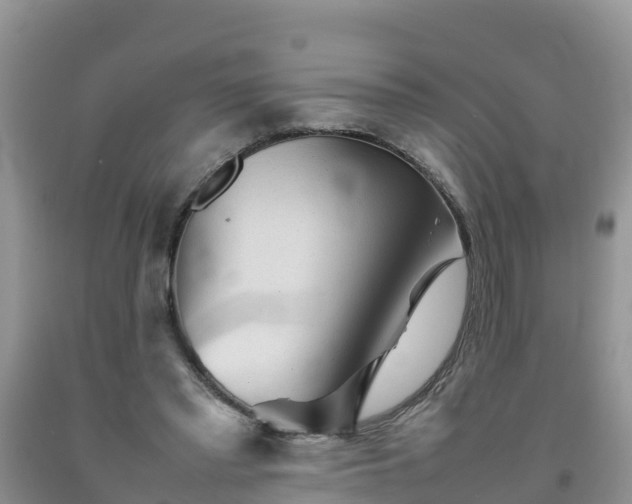 X0000092060397200709191146