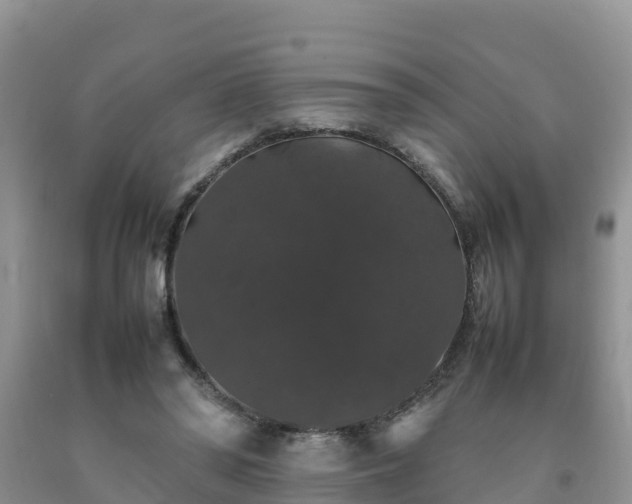 X0000092060398200709191146