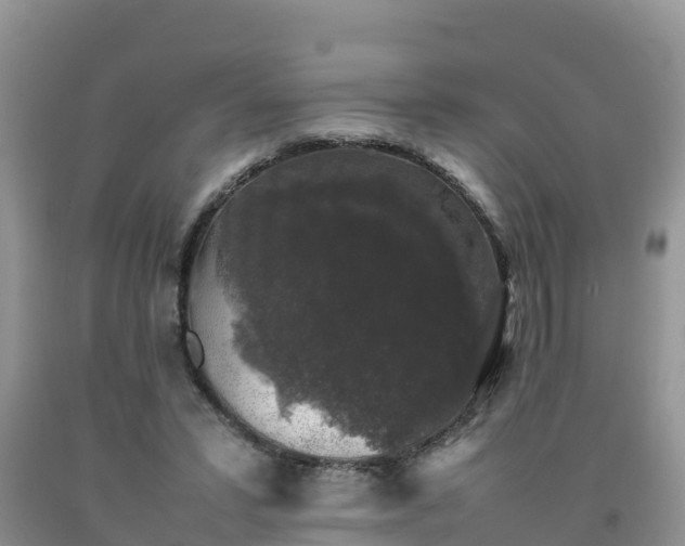 X0000092060399200709191146