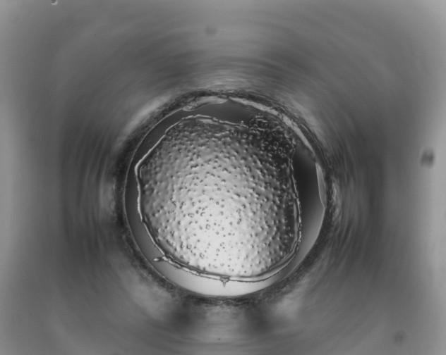 X0000092060400200709191146