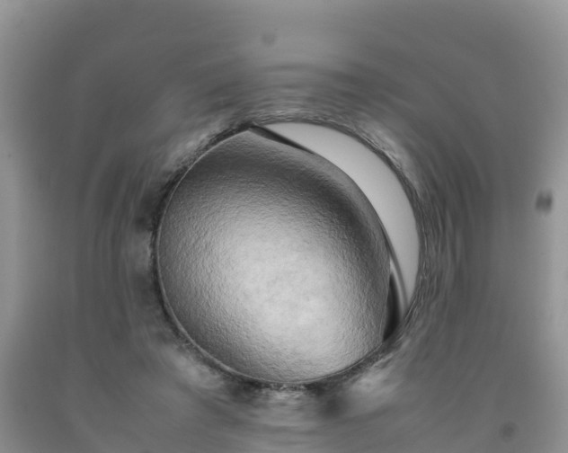 X0000092060401200709191146