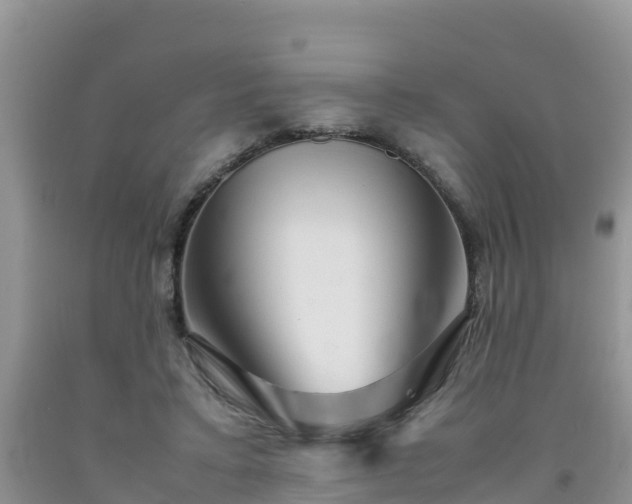 X0000092060403200709191146