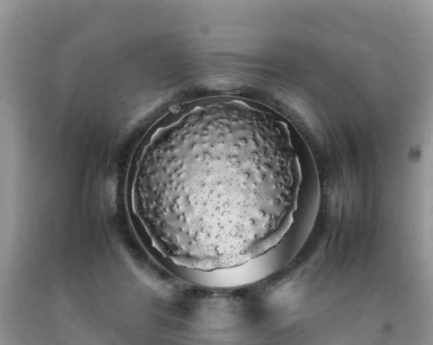 X0000092060404200709191146