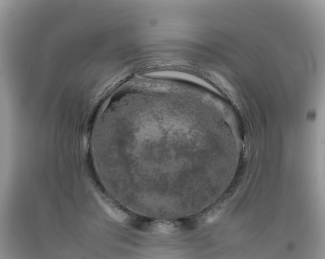 X0000092060405200709191146