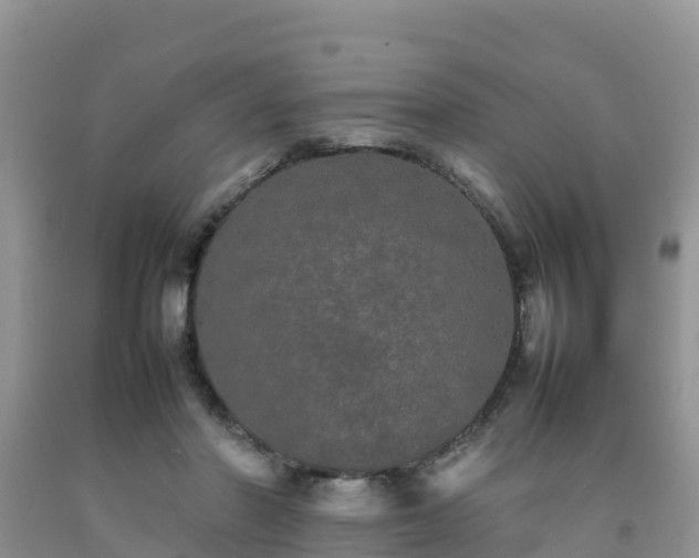 X0000092060406200709191146