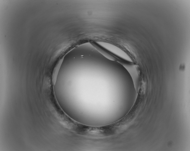 X0000092060407200709191146