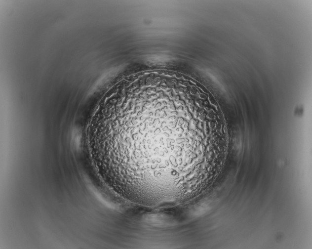 X0000092060408200709191146