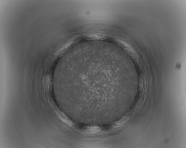 X0000092060409200709191146