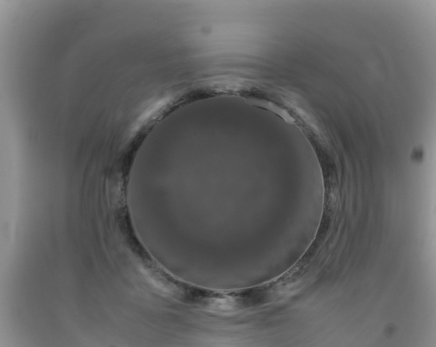 X0000092060411200709191146