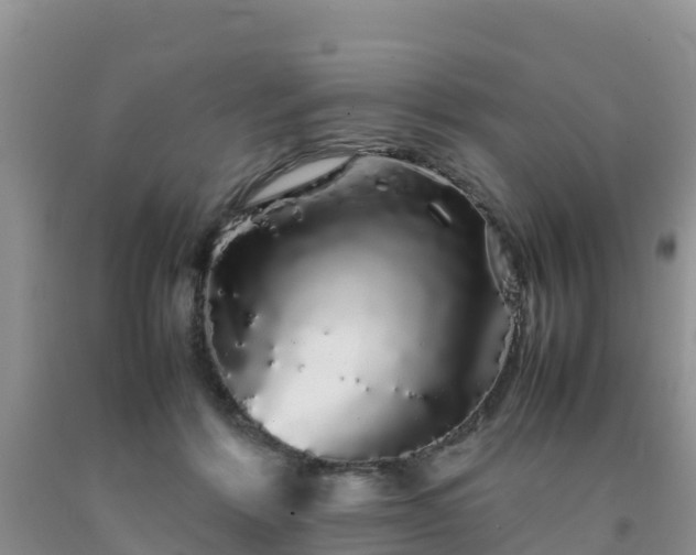 X0000092060412200709191146