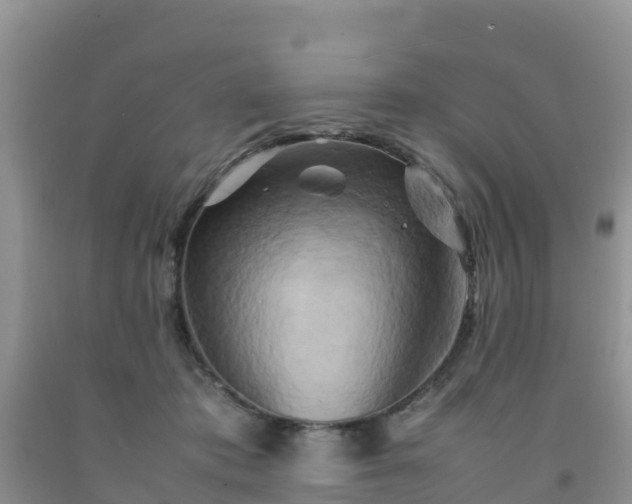 X0000092060413200709191146