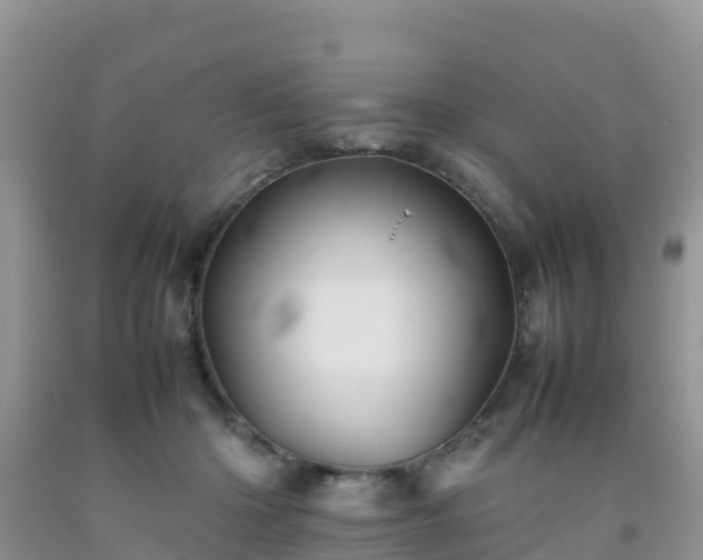 X0000092060414200709191146