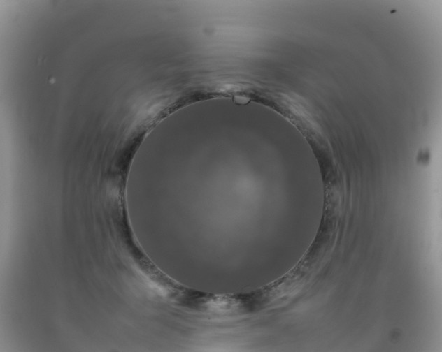 X0000092060415200709191146