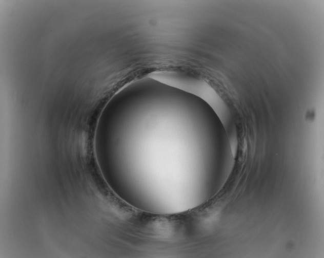 X0000092060416200709191146