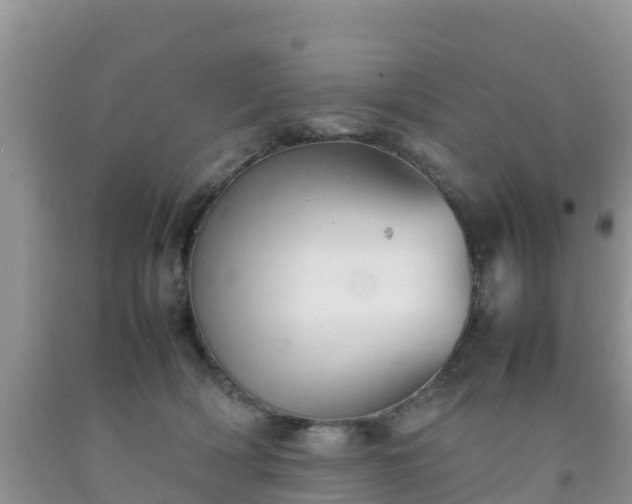 X0000092060418200709191146