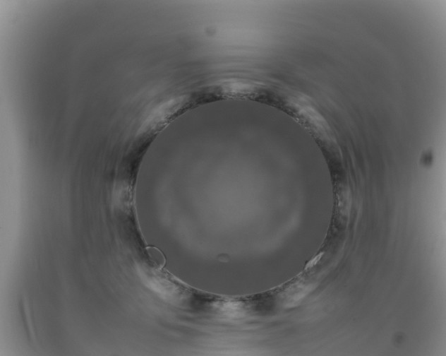 X0000092060419200709191146