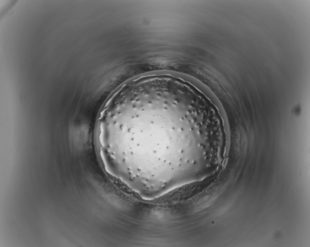 X0000092060420200709191146