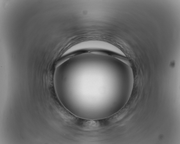 X0000092060421200709191146