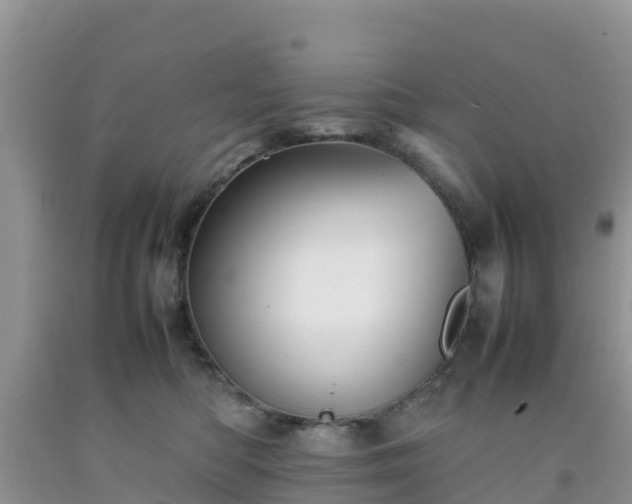 X0000092060422200709191146